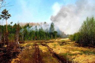 В Черниговской и Харьковской областях тушат пожар