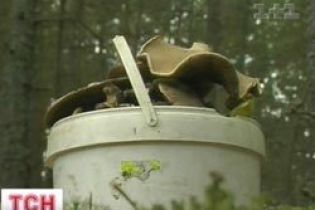 Люди отравились поганками (видео)