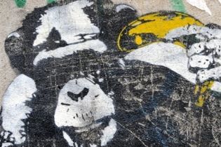 В Праге позволили разрисовывать стены (видео)