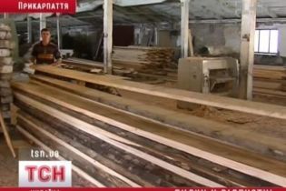 На Прикарпатье массово закрывают пилорамы (видео, обновлено)