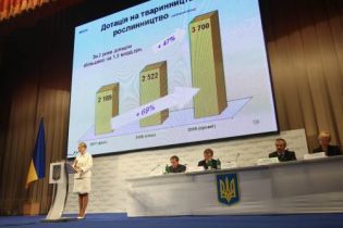 Экономика Украины удивляет Тимошенко (видео)