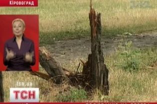 В Кировограде уничтожают деревья (видео)