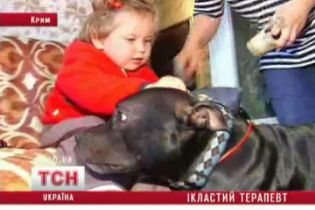 Собака научила ребенка ходить (видео)