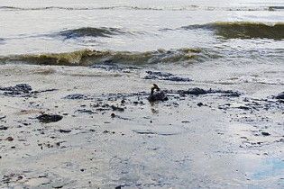 В ВР знали о поломке оборудования на нефтеплатформе за несколько недель до взрыва