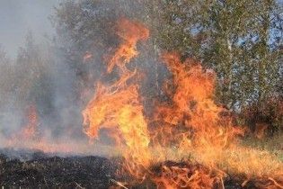 Крупный пожар на Черниговщине: горят 70 гектаров