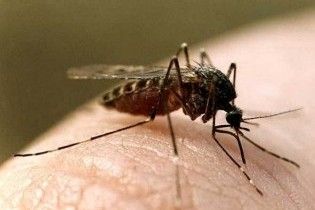 В Греции жертвами укусов комаров стали семь человек