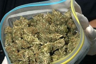 Власти Мексики в ходе спецоперации изъяли 105 тонн марихуаны
