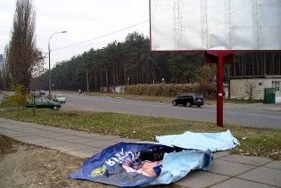 "Батькивщина" обвинила власти в массовом уничтожении своих билбордов