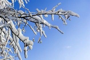 Погода в Украине на среду, 17 февраля
