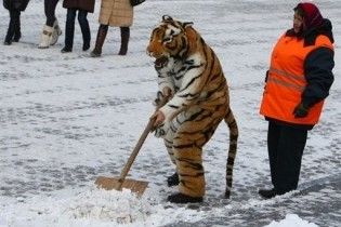 Киев приобретет новую технику для очистки города от снега