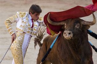 Бык покалечил известного матадора