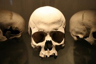 Археологи нашли захоронение 3-метровых людей
