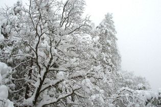 Погода в Украине на пятницу, 12 февраля