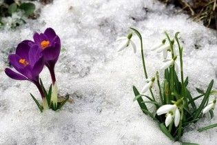 На выходные в Украине потеплеет до восьми градусов
