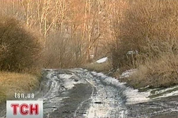 Ліс