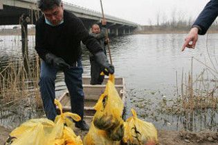В Китае задержаны работники больницы, выбросившие тела двадцати младенцев