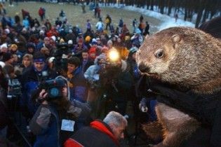 В США отмечают День сурка. Экологи просят не мучить животное