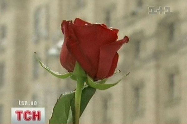 Квітка