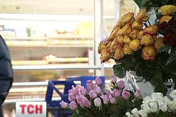Рози