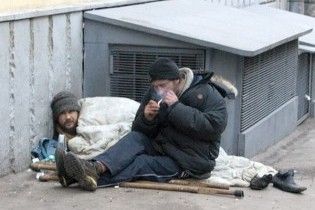 Московские бомжи съели почти всех городских чаек