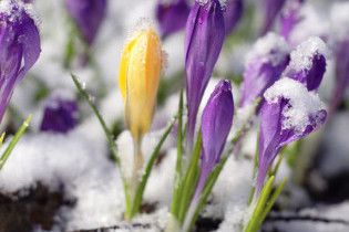 Погода в Украине на вторник, 16 марта