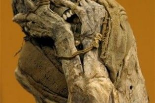 Родные 4 года не замечали труп брата в соседней комнате
