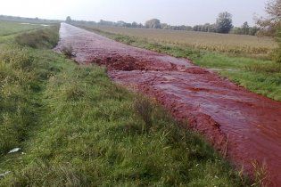 Україні загрожує отруйна вода з Угорщини