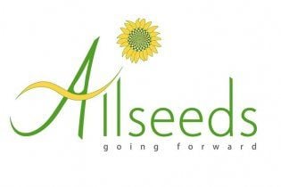 Міноритарні акціонери Allseeds Group незадоволені неефективним управлінням Kernel Holding