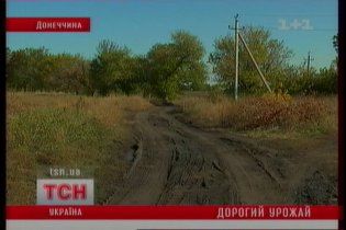 На Донбассе мужчина до смерти забил вора моркови