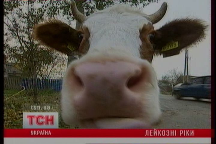 tcn_08