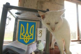 Азаров: перемога опозиції в деяких областях не має значення