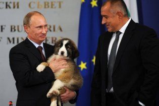 Путину подарили щенка болгарской породы
