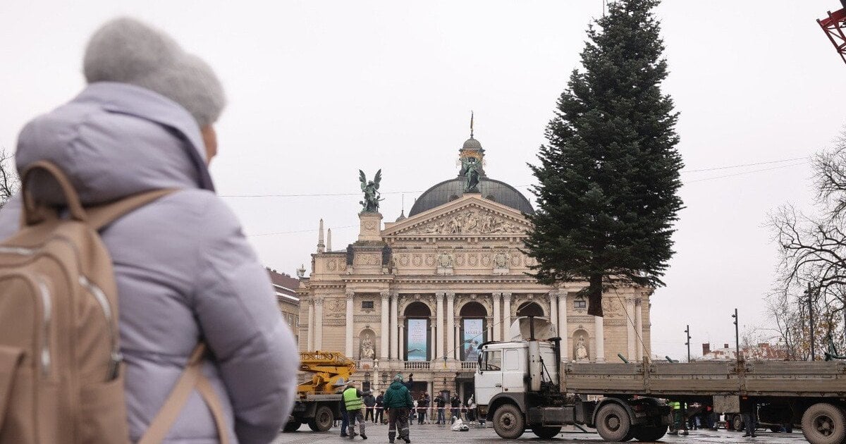 Встановлення ялинки у Львові