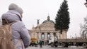 Встановлення ялинки у Львові