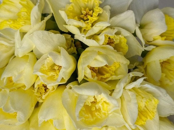 День ангела 18 квітня — душевні привітання в прозі / © pexels.com