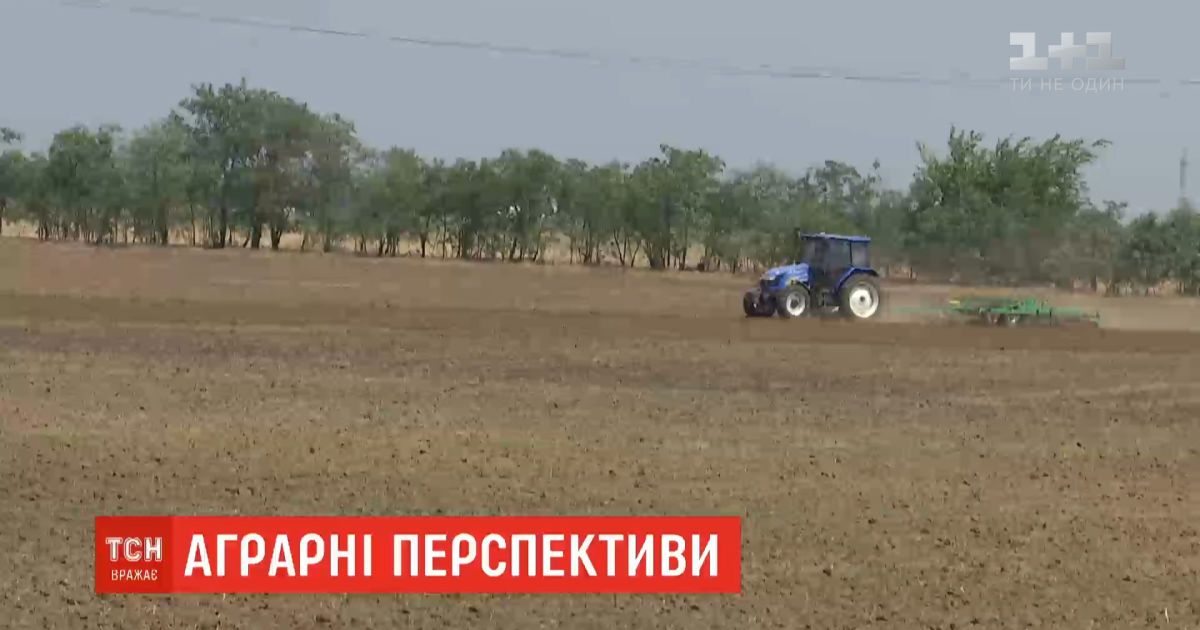 Аграрии со всей Украины собрались в Херсонской области, чтобы решить, как спасти поля от жары