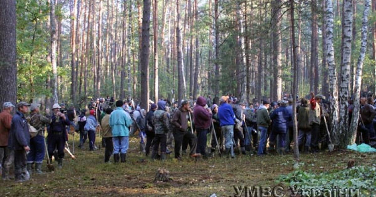 Силовики задержали 17 человек / © УМВД в Волынской области