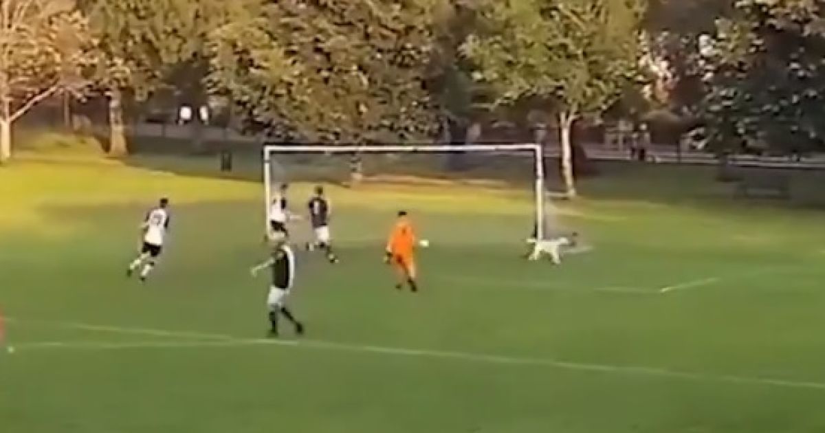 скріншот відео