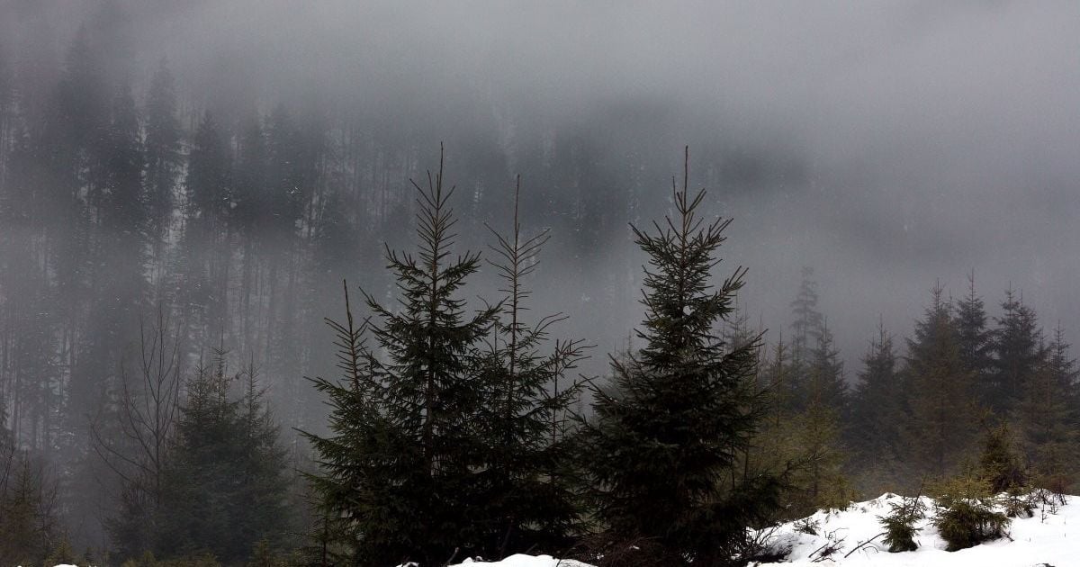 Подвійний удар стихії накриє Україну