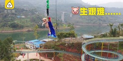 В китайском парке свинью сбросили с 69-метрового аттракциона и вызвали возмущение общественности