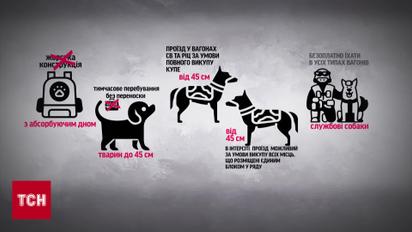 Новые правила перевозки животных Укрзализныцей!