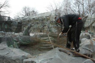 Після перевірок у київському зоопарку почали будівництво ведмежатника
