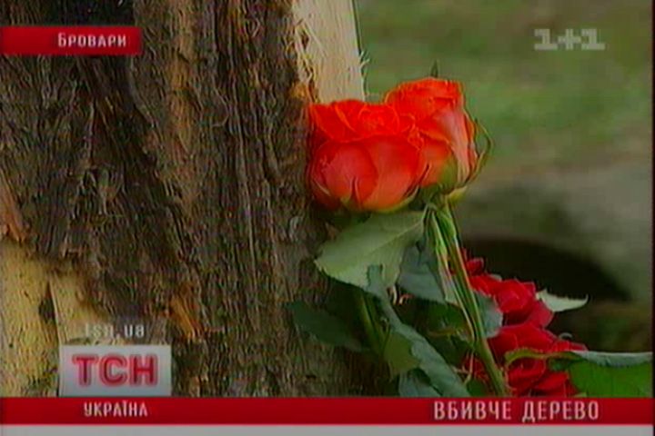 2011_1