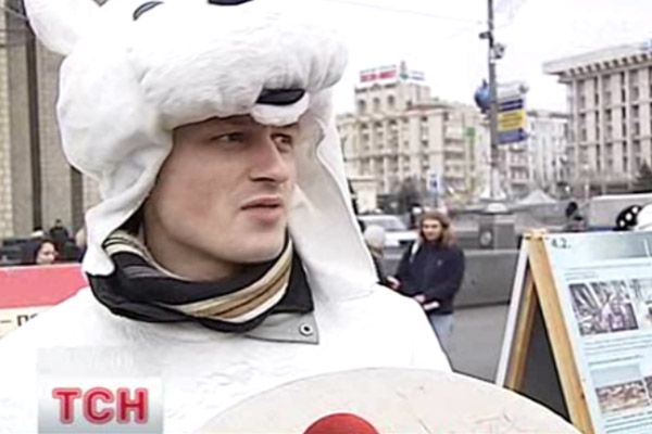 Ведмідь