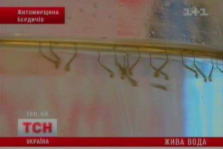 У Бердичеві з-під крана разом з водою виповзають дивні істоти