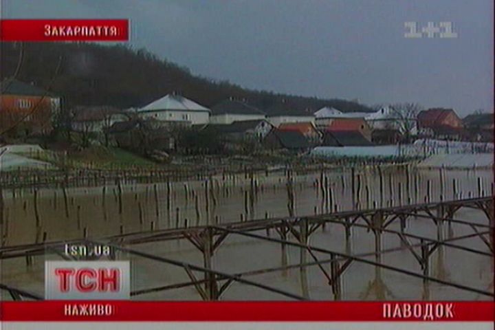 tsn