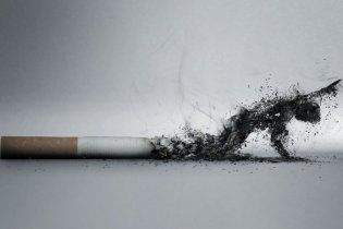 Нидерланды выступают за повышение налогов для курильщиков и любителей спиртного