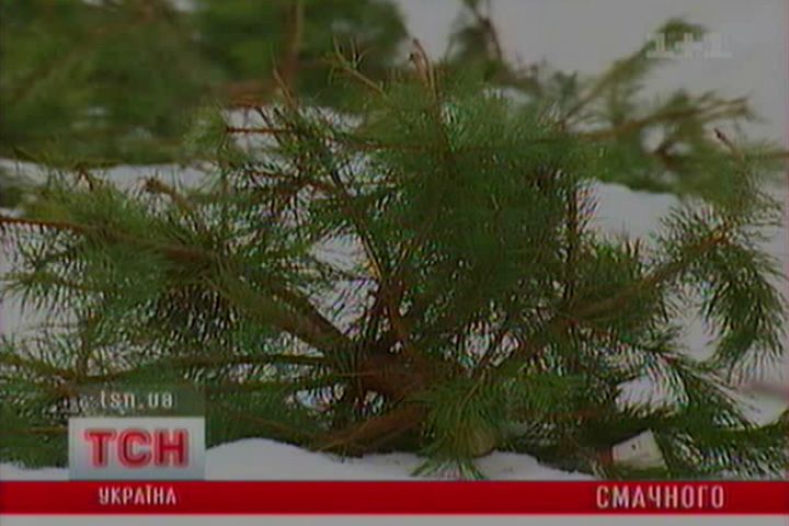 ctm_9