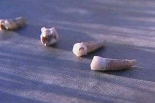 В Ізраїлі знайшли зуб Homo sapiens, якому 400 тисяч років