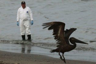 BP заплатить мільярд за усунення наслідків розливу нафти у Мексиканській затоці